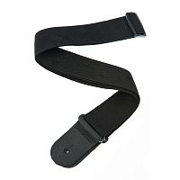 PLANET WAVES PWS100 POLYPROPYLENE STRAP