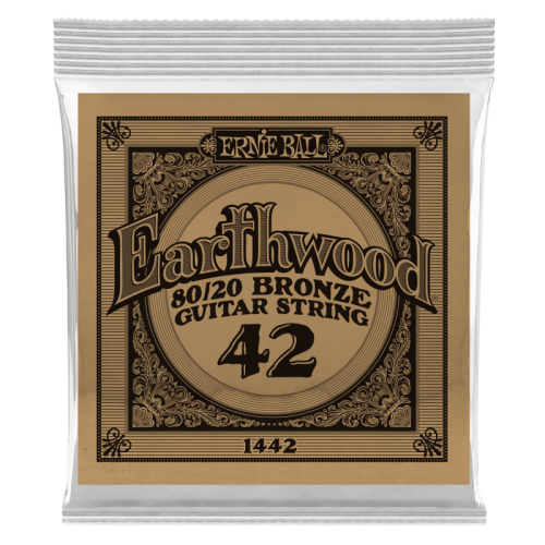 ERNIE BALL P01442